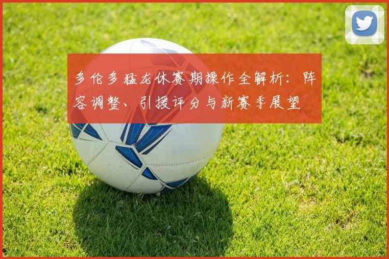 多伦多猛龙休赛期操作全解析：阵容调整、引援评分与新赛季展望